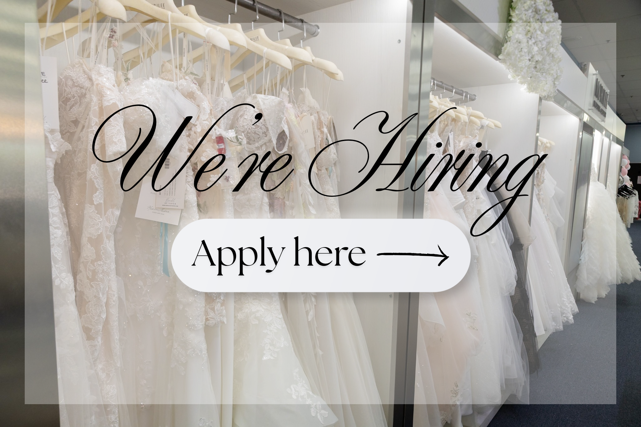 We are hiring, contact us